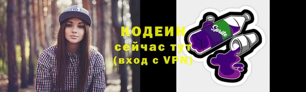 ALPHA PVP Ельня