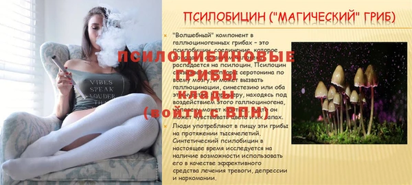 сатива Куйбышев