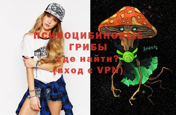 ALPHA-PVP Новозыбков
