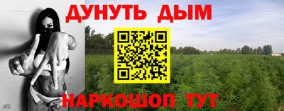 ПСИЛОЦИБИНОВЫЕ ГРИБЫ Жуковский