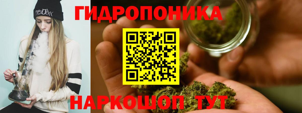 Конопля планчик  Крымск  Бошки марихуана SATIVA & INDICA 